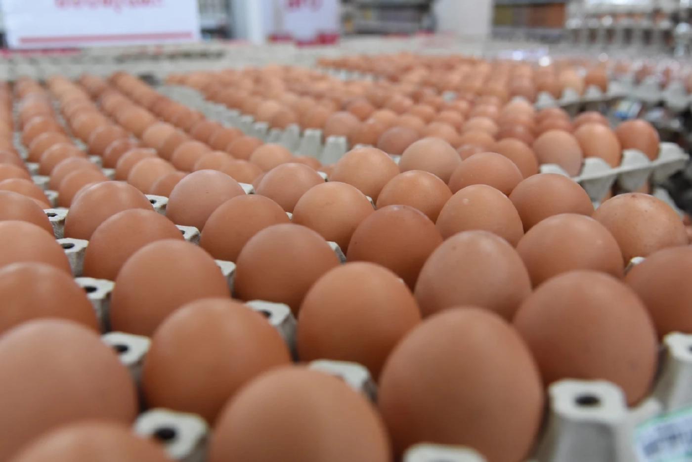ผู้ผลิตไข่ไก่ ชี้ราคาไข่ไทยยังต่ำกว่าต้นทุน สวนทางไข่ไก่ทั่วโลกขาดแคลน
