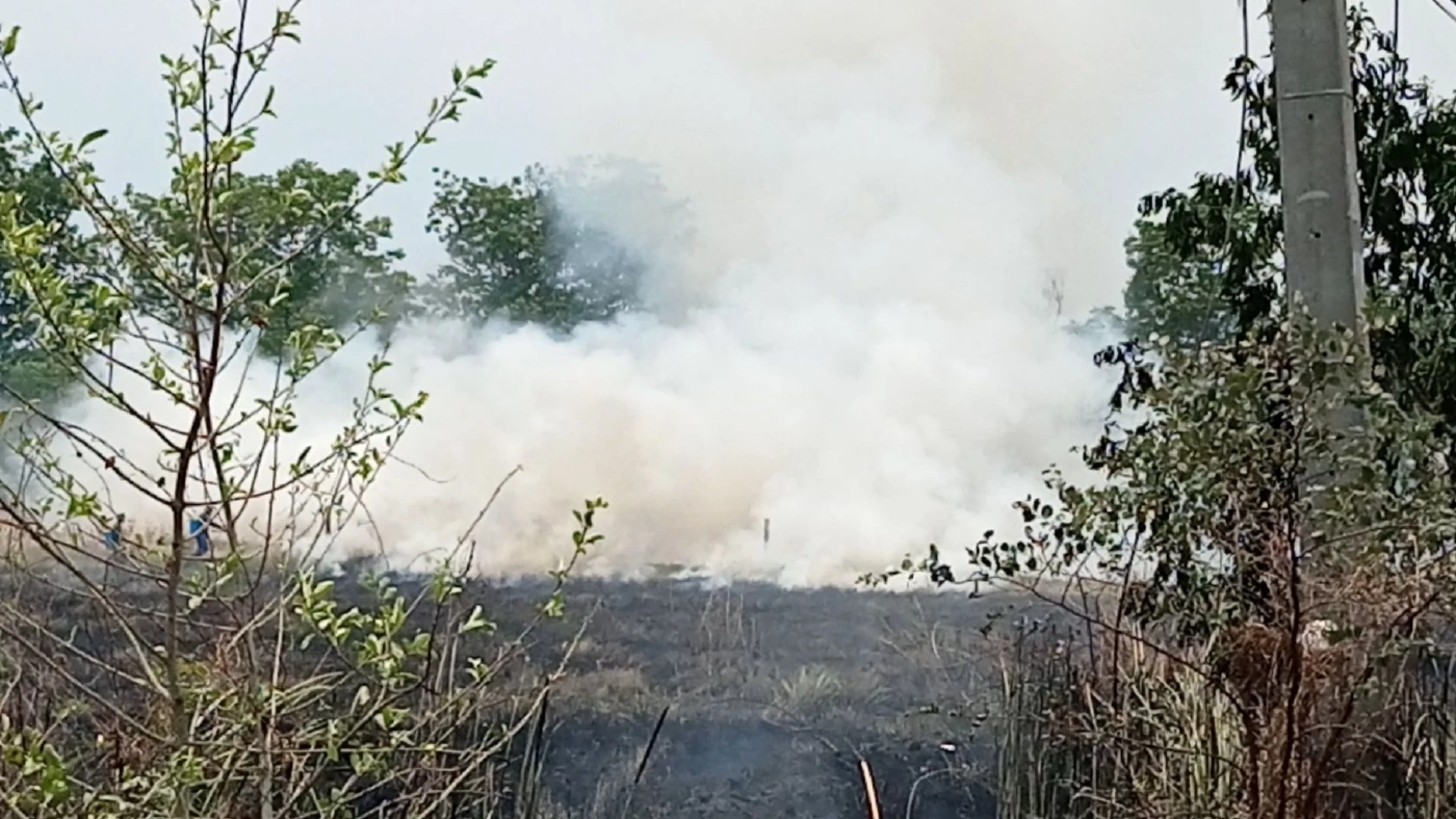 ไฟไหม้ต้นธูปฤาษี ควันปกคลุมถนน มองแทบไม่เห็นทาง จนท.ระดมฉีดน้ำดับ