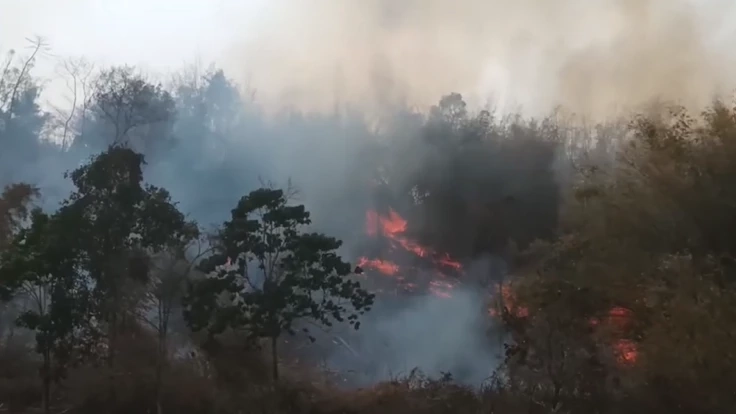 ไฟป่าลามหลายอำเภอเชียงราย เศร้าบางแห่งเป็นฝีมือคน เผาเพื่อหาผลประโยชน์