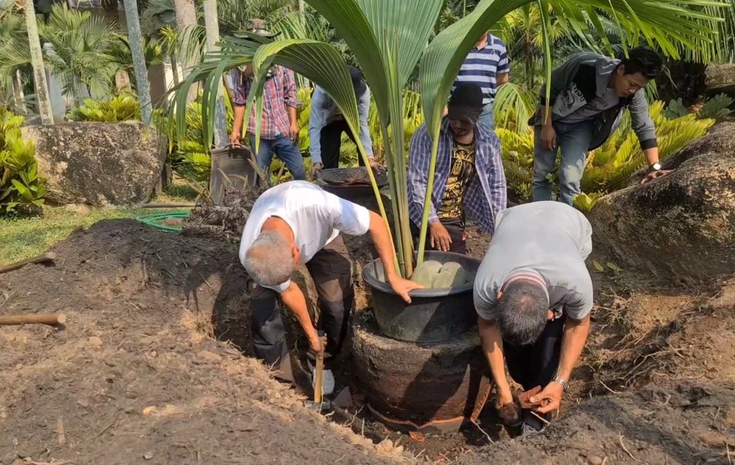 ฮือฮา! สวนนงนุชพัทยา ปอกโชว์มะพร้าวลูกละแสน