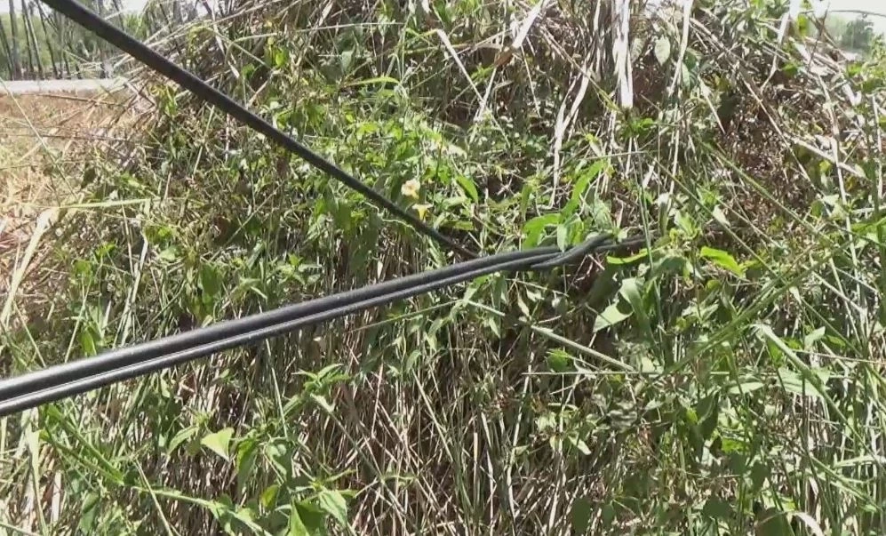 หวิดตาบอด! หนุ่มขี่จยย. ชนสายเคเบิ้ลห้อยขวางทางเข้าสวนยาง