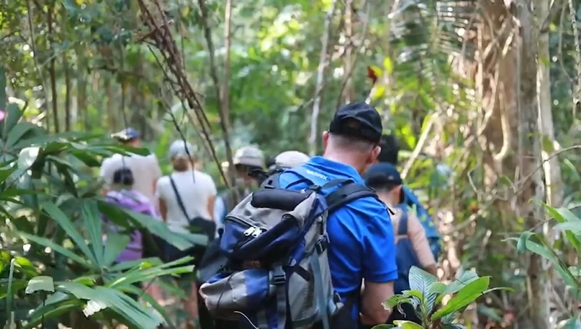 วังน้ำเขียวคึกคัก นักท่องเที่ยวสวีเดนแห่ชมผืนป่า ตื่นตาฝูงกระทิง