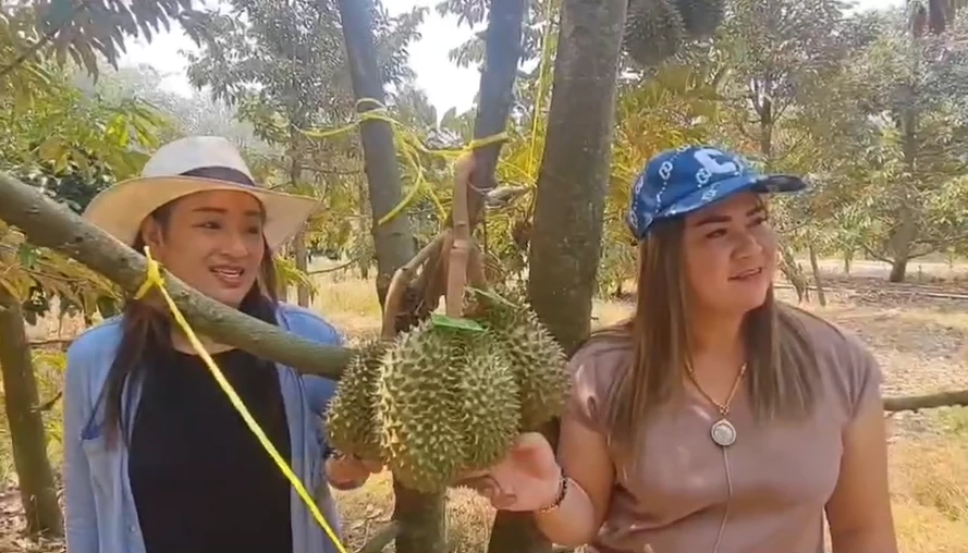 ของดีต้องรีบ จองทั้งต้น ทุเรียนระยอง "พันธุ์กบชายน้ำ" แม้ราคาลูกละสองพัน