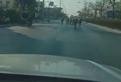 มายังไง? ควายหลุดถนน ตร.-กู้ภัย ช่วยกันไล่ต้อน เล่นเอาแตกตื่นทั้งคนทั้งควาย