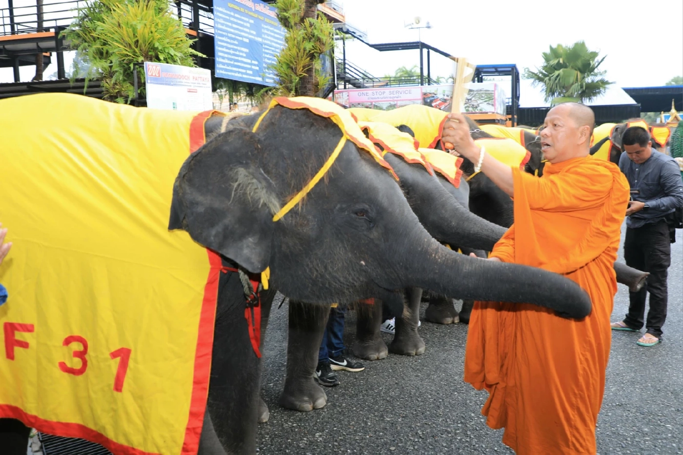 สวนนงนุชพัทยา ทำพิธีฮ้องขวัญช้าง พร้อมจัดโต๊ะจีนผลไม้ เฉลิมฉลองวันช้างไทย
