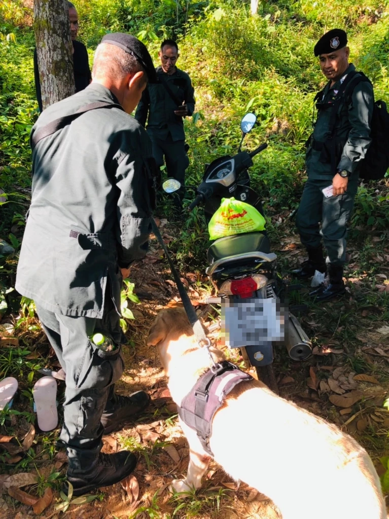 เศร้า! ตร.แว้ง หลงป่านาน 3 วัน สุดท้ายพบเป็นศพ คาดปิดชีพตัวเองหนีทรมานหลงป่า