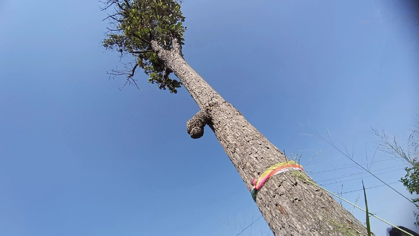 รวมเลขเด็ดเลขดัง หวยงวด1/4/66 เลขเด็ดนายก เลขปฏิทินจีน เลขไหนมาแรงจัดมาครบ 