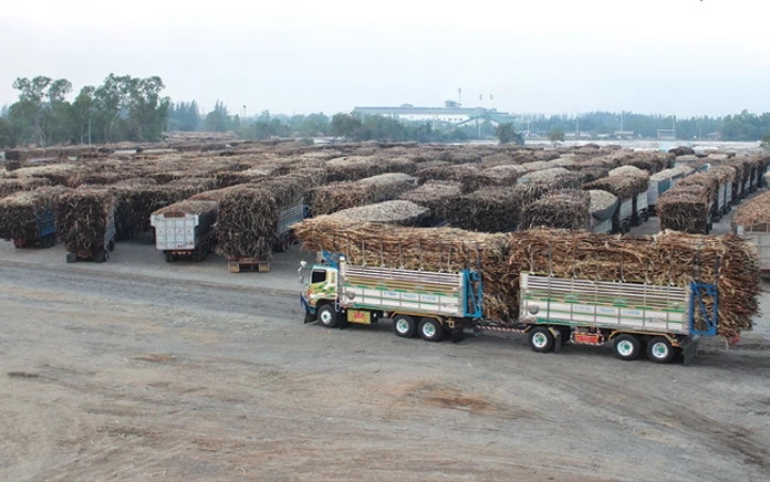 ครม.เคาะ! ราคาอ้อยขั้นสุดท้าย ฤดูการผลิตปี 64/65