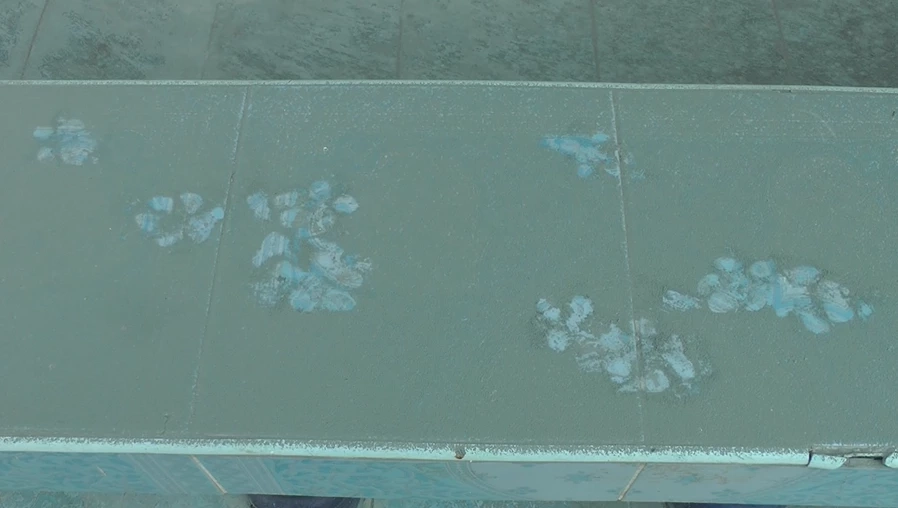 ระทึก! แพล้นปูนระเบิด ฝุ่นปูนคลุ้งตลบ มีชาวบ้านรับผลกระทบจำนวนมาก (มีคลิป)