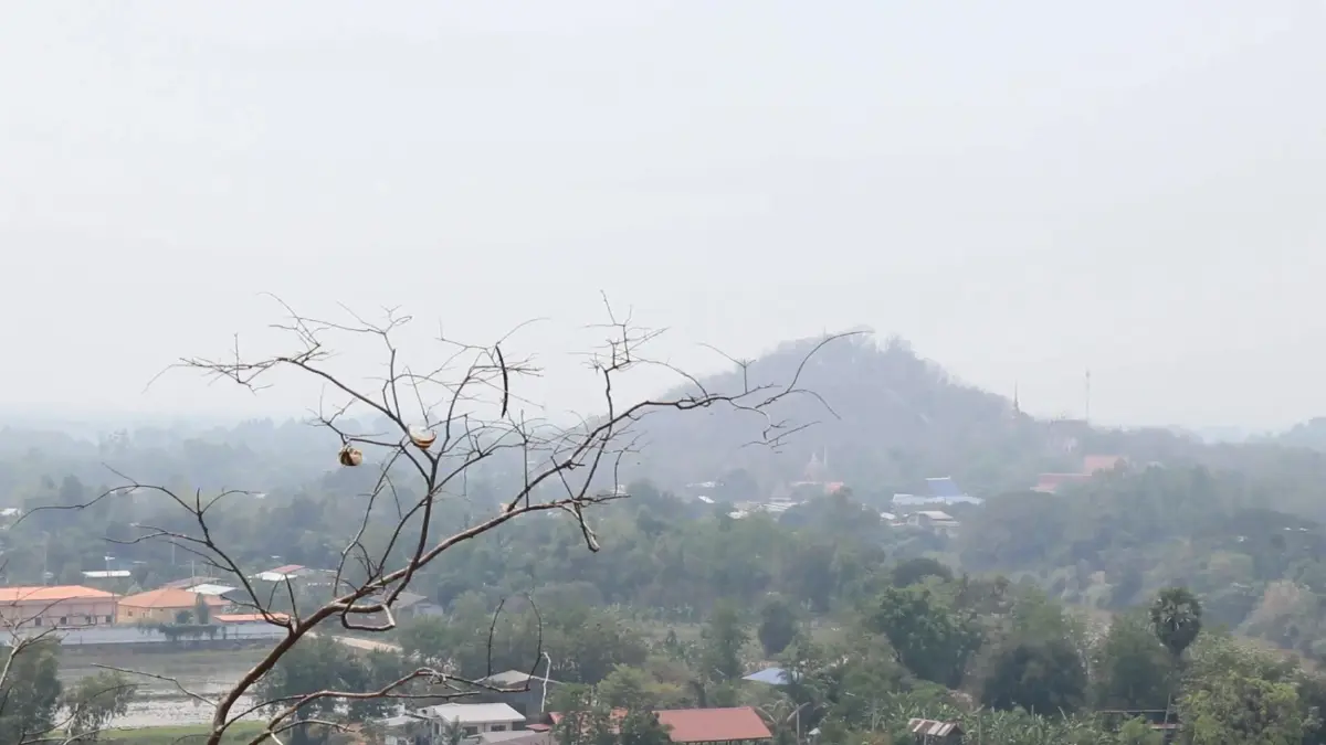 ชาวพิจิตรอ่วม ค่าฝุ่น PM2.5 เกินมาตรฐาน เริ่มมีผลกระทบต่อสุขภาพ