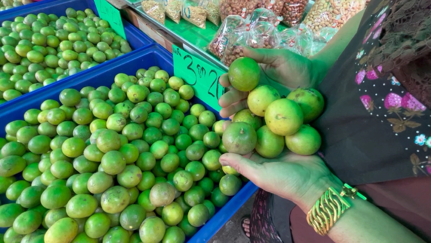 มะนาวราคาพุ่งรับหน้าร้อน มะนาวเบอร์ 3 กระสอบละ 2,200 บาท