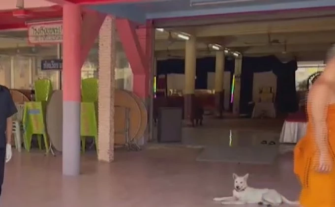 ตร.เร่งล่าคนร้าย รัวยิง 14 นัด หนุ่มส่งพัสดุ ตั้งปมสังหารหลายประเด็น