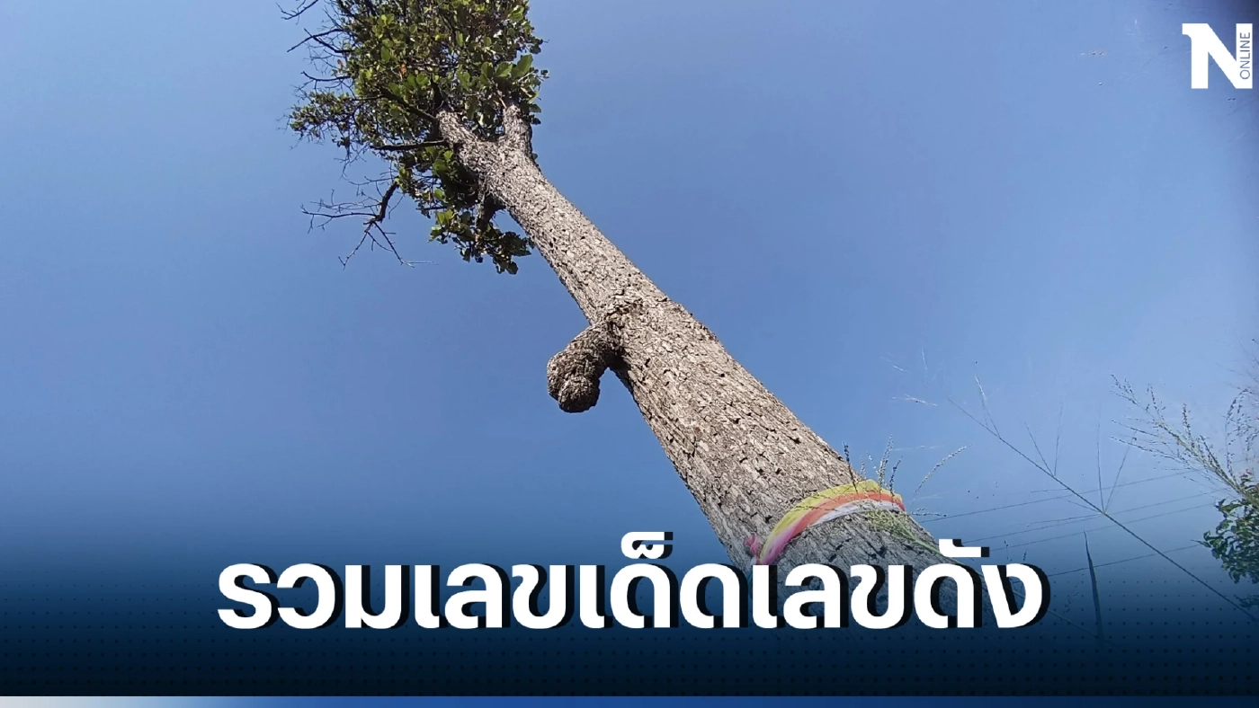 รวมเลขเด็ดเลขดัง หวยงวด1/4/66 เลขเด็ดนายก เลขปฏิทินจีน เลขไหนมาแรงจัดมาครบ 