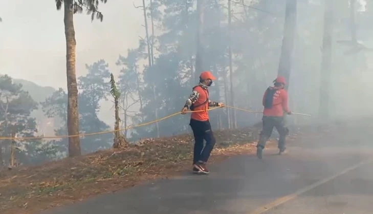 ไฟป่าลามหลายอำเภอเชียงราย เศร้าบางแห่งเป็นฝีมือคน เผาเพื่อหาผลประโยชน์