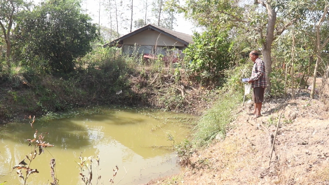 ชาวพิจิตร นำขยะเปียกปลูกผักสวนครัว ลดรายจ่ายและขยะในชุมชน