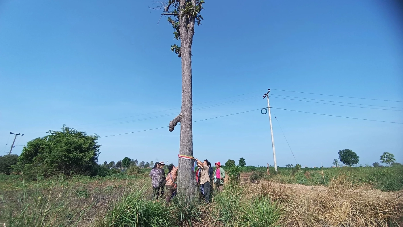รวมเลขเด็ดเลขดัง หวยงวด1/4/66 เลขเด็ดนายก เลขปฏิทินจีน เลขไหนมาแรงจัดมาครบ 