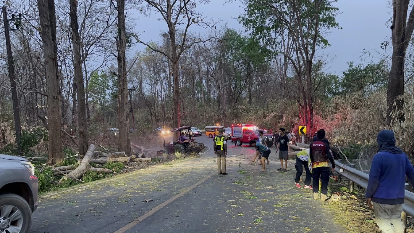 มือดีเผาป่า ไฟลามติดต้นไม้ใหญ่ จนล้มขวางถนน ทำรถติดยาวเกือบ 4 กม.