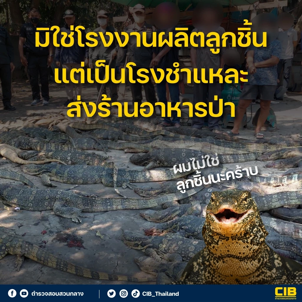 คนชำแหละยืนยัน "เนื้อเหี้ย" ไม่มีใครทำลูกชิ้น - หนังทอดกรอบ เหตุแพงไม่คุ้ม