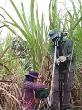 กรมวิชาการเกษตร จับมือเอกชนวิจัยชุดข้อมูลลดก๊าซเรือนกระจกของพืชเศรษฐกิจ