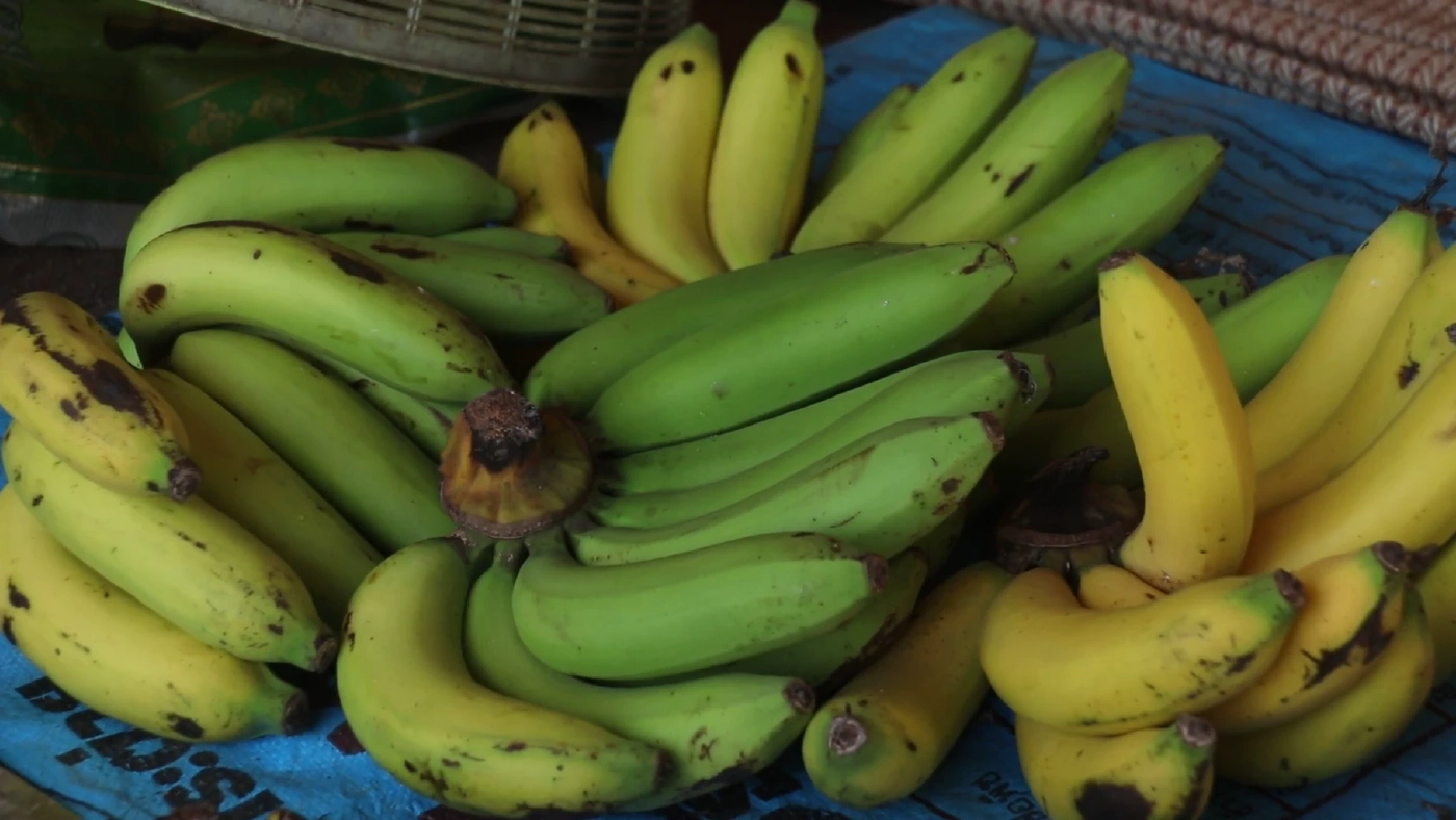 ชาวพิจิตร นำขยะเปียกปลูกผักสวนครัว ลดรายจ่ายและขยะในชุมชน