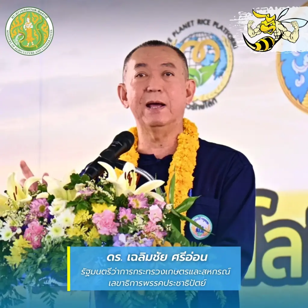 บ้านใหญ่สงขลา หวังล้างตาให้ลูกชาย ต้องไม่พลาดเป้าซ้ำรอยปี 62