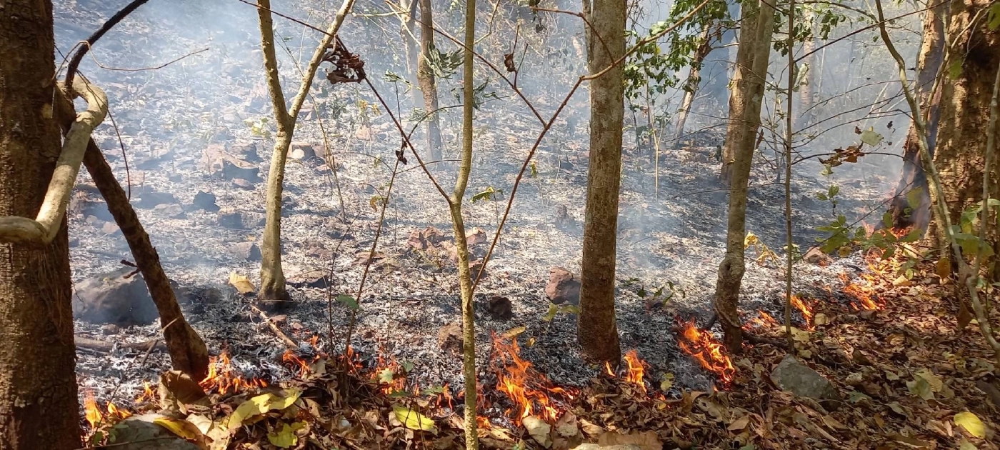 แม่ฮ่องสอนอ่วม! หมอกควันไฟปกคลุม ชาวบ้านป่วยแล้ว 9 พันคน