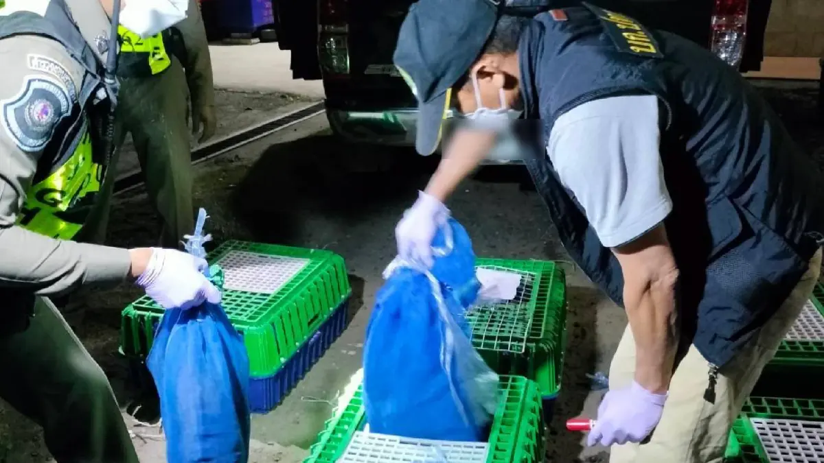 จับกุมขบวนการลอบค้าลิงแสม ส่งออกต่างประเทศ เมนู"เปิบพิสดาร"ตัวละ 1 หมื่นบ.