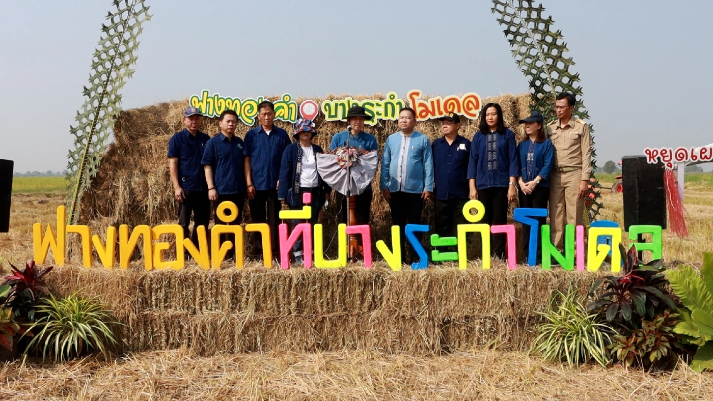 พิษณุโลกรณรงค์ "ฟางทองคำ" ขายฟางแทนการเผา เพื่อลด PM2.5 ทำรายได้ร้อยล้าน