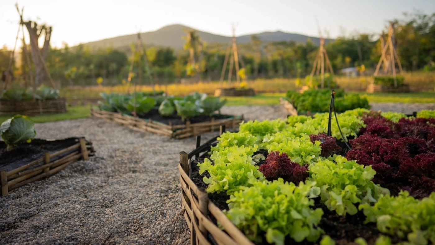 ศาสนาและธรรมชาติ ผนวกรวมกันไว้ที่ พุทธนิเวศเกษตรอินทรีย์  ไร่เชิญตะวัน