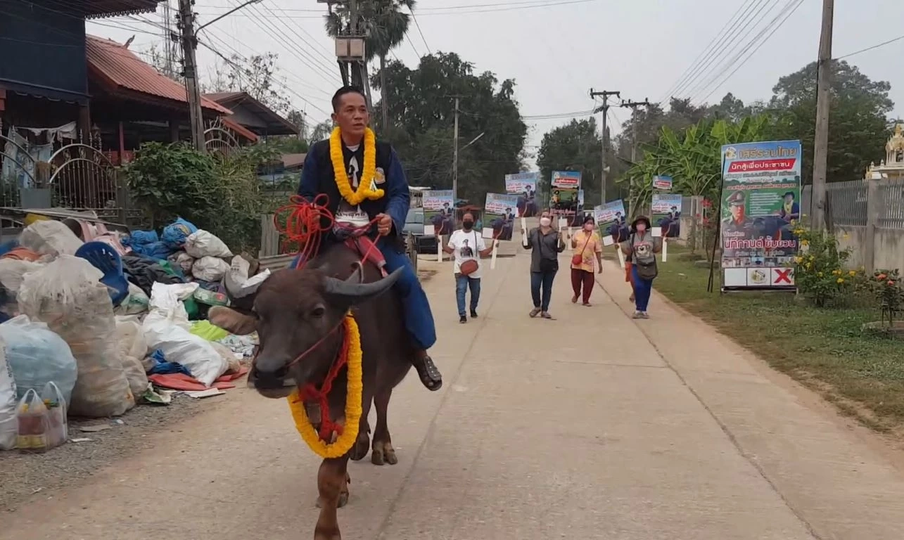 ฮือฮา ว่าที่ผู้สมัคร ส.ส. สุโขทัย ขี่ควายหาเสียง ลั่น! เอาจริง ไม่ใช่แค่สีสัน