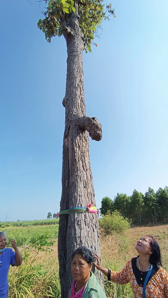 รวมเลขเด็ดเลขดัง หวยงวด1/4/66 เลขเด็ดนายก เลขปฏิทินจีน เลขไหนมาแรงจัดมาครบ 