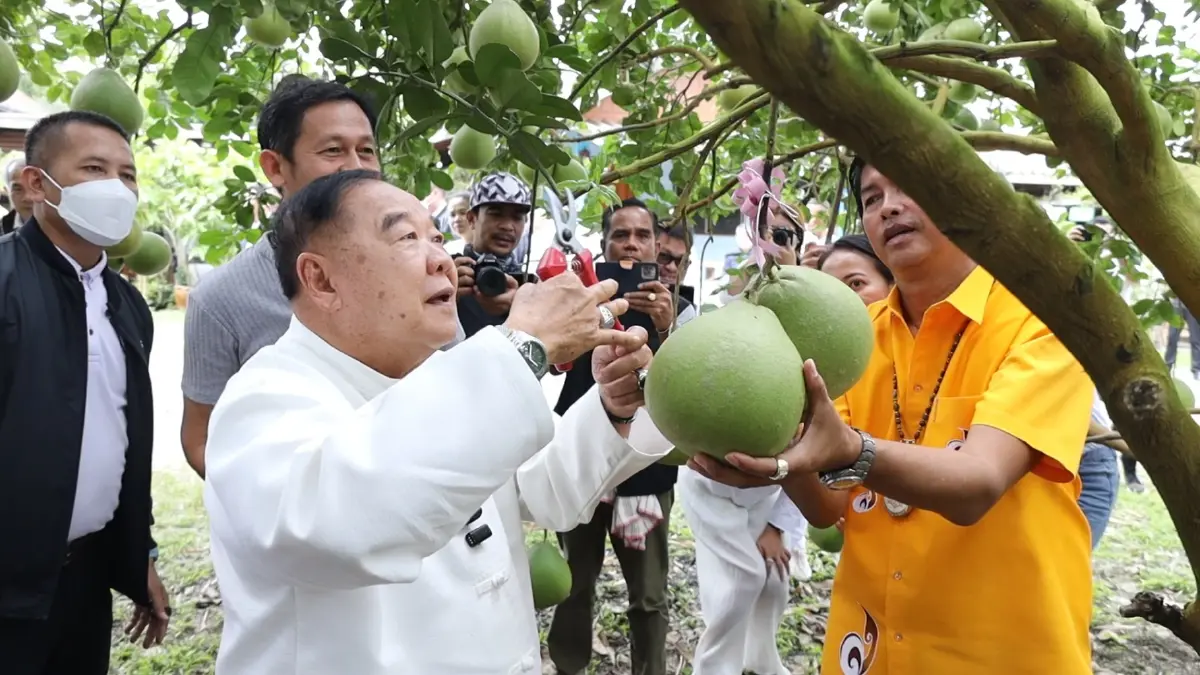 ชิลวันหยุด! "ลุงป้อม" นั่งจิบชาริมถนน ร่วมแห่ผ้าขึ้นพระธาตุนครศรีธรรมราช