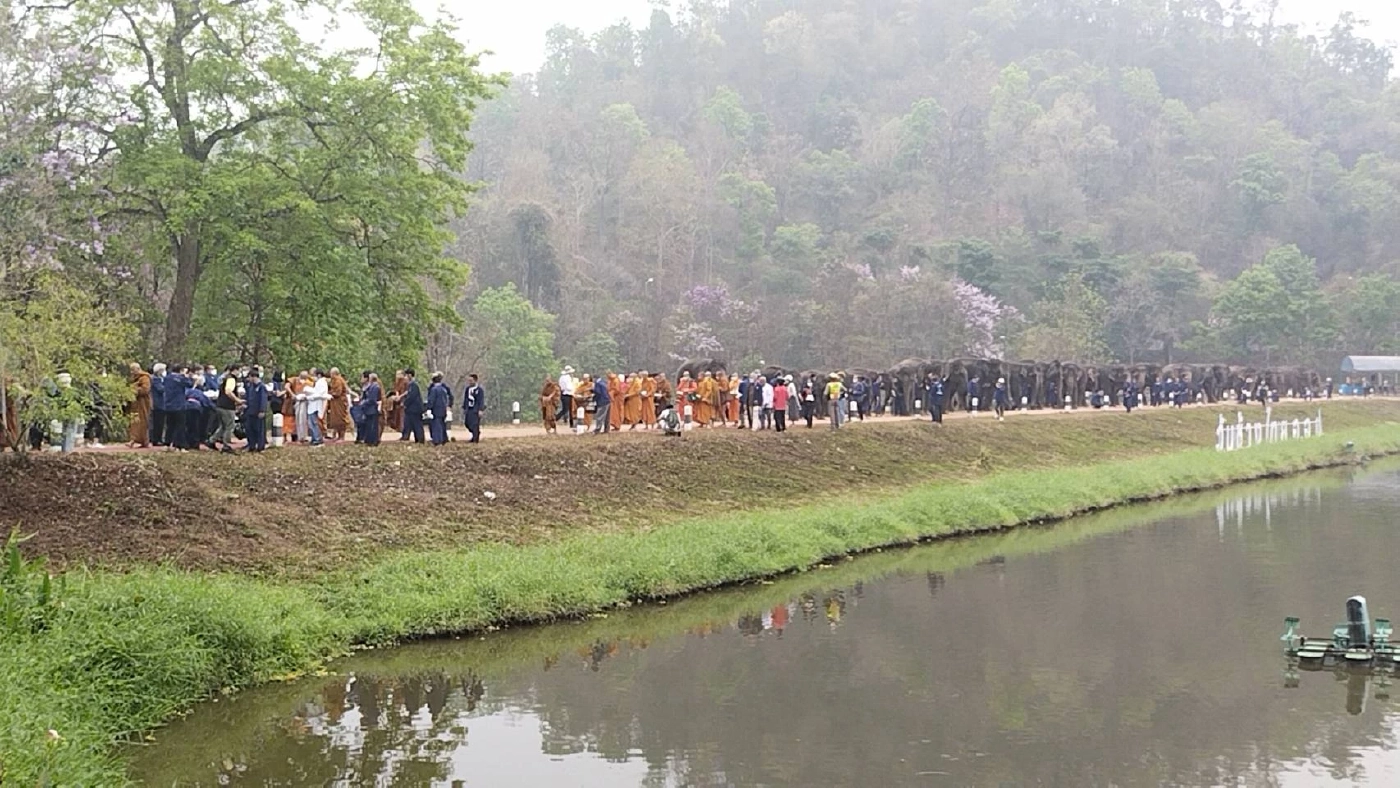 ศูนย์อนุรักษ์ช้างไทยลำปาง ทำบุญ“วันช้างไทย”ให้ช้าง-ควาญช้างที่ล่วงลับ