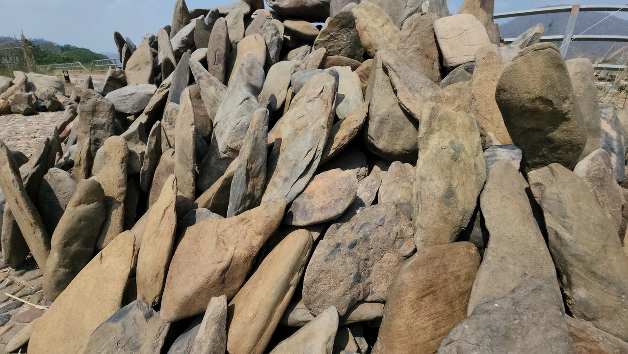 น้ำโขงลด ชาวบ้านเก็บหินขาย สร้างรายได้เลี้ยงครอบครัวยามหน้าแล้ง