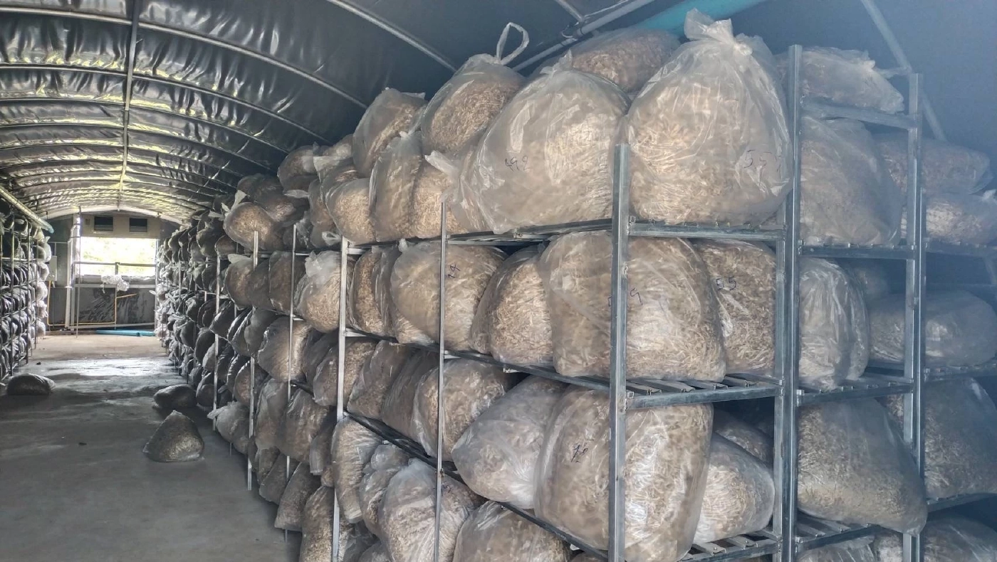 ตร.เตือนอย่าหลงเชื่อ หลอกลงทุน Turtle Farm พบหลอกเหยื่อเสียหาย 2,000 ล้าน