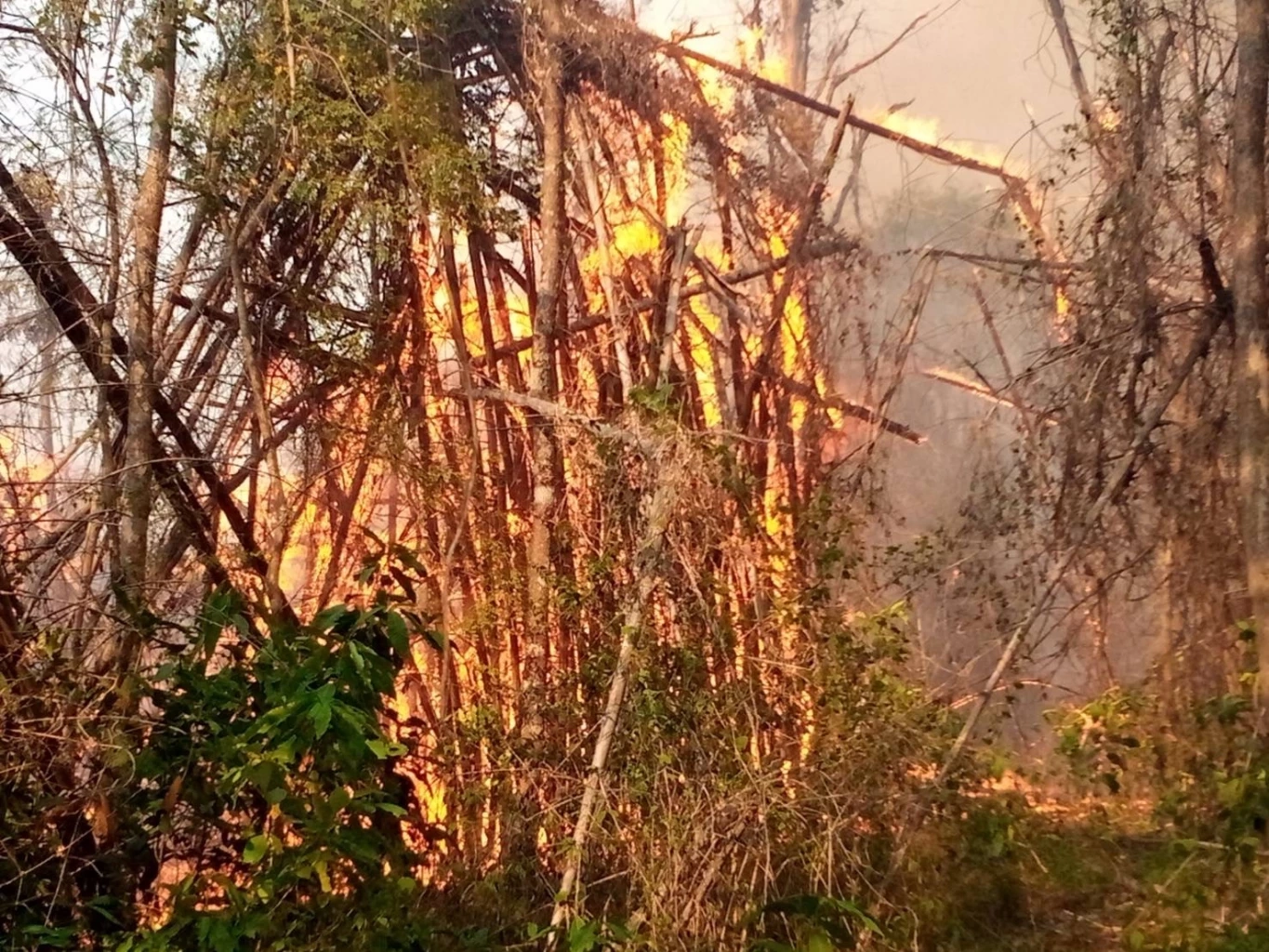 คุมได้แล้ว ไฟไหม้ป่าภูกระดึง จนท.เฝ้าระวัง เกรงกลับมาปะทุอีก