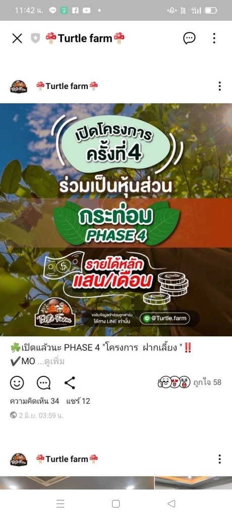 รูปแบบการหลอกลงทุน