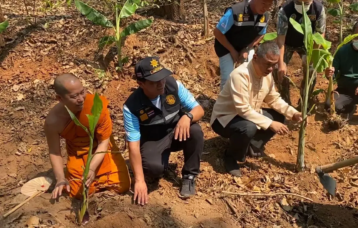 ภาคีเครือข่ายตำบลสุเทพ คิกออฟสู้ไฟป่า ปลูกกล้วยสร้างแนวกันไฟธรรมชาติ
