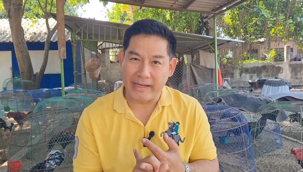 คนเลี้ยงไก่ชนโคราช มั่นใจเป็นซอฟต์พาวเวอร์ ระดับโลกได้