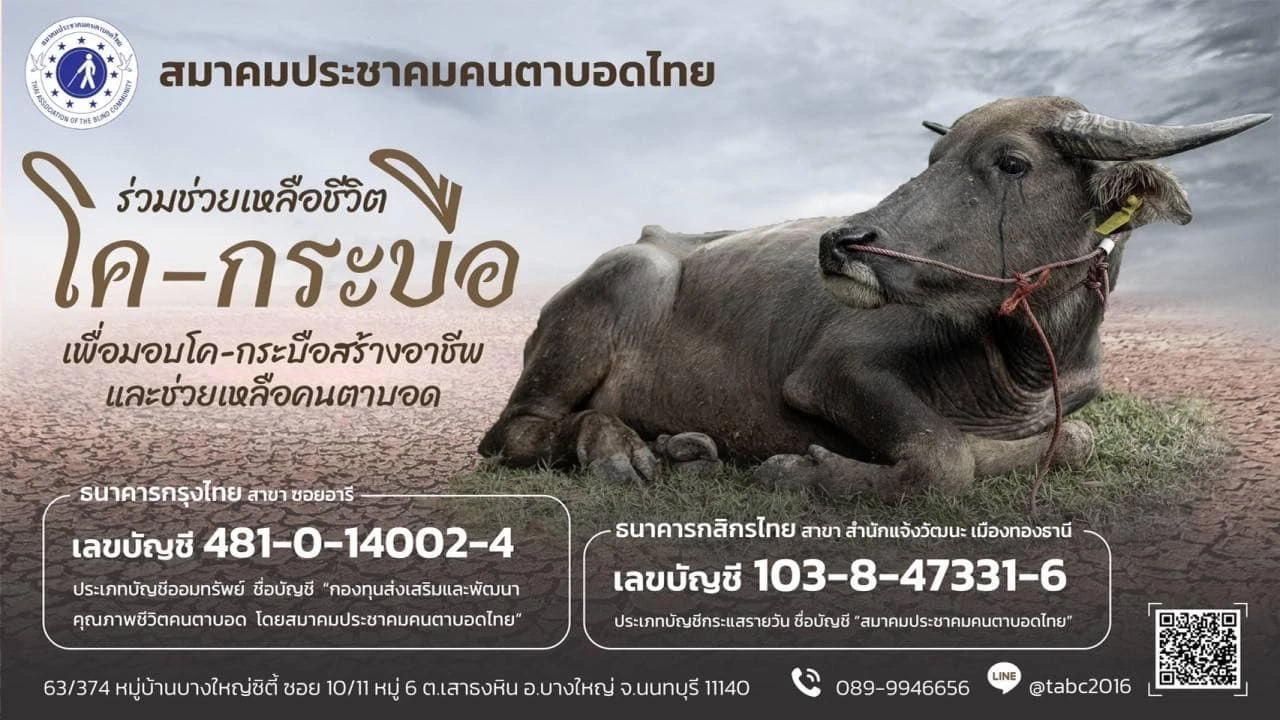 สมาคมประชาคมคนตาบอดไทย ชวนทำบุญ ไถ่ชีวิตโค-กระบือ
