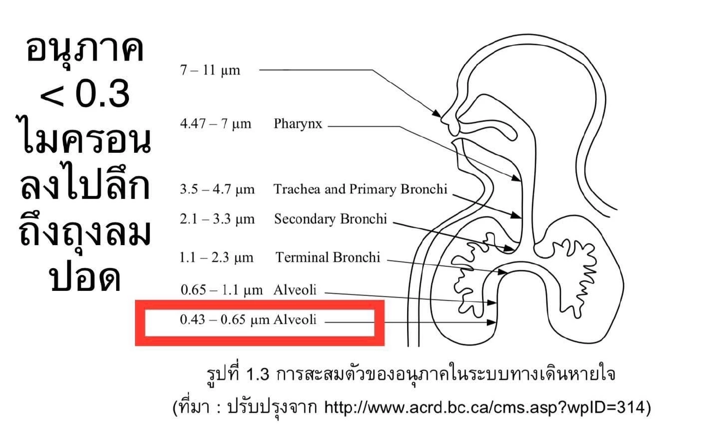 นักวิจัย ชี้ 80 เปอร์เซ็นต์ PM 2.5 มีขนาดเล็กกว่า 0.3 ไมครอน เข้าสู่กระแสเลือดได้