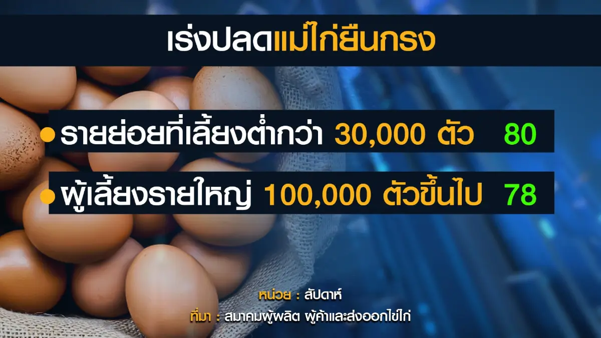 รัฐหนุนส่งออก 'ไข่ไก่' 2 ล้านฟอง พยุงราคาในประเทศ