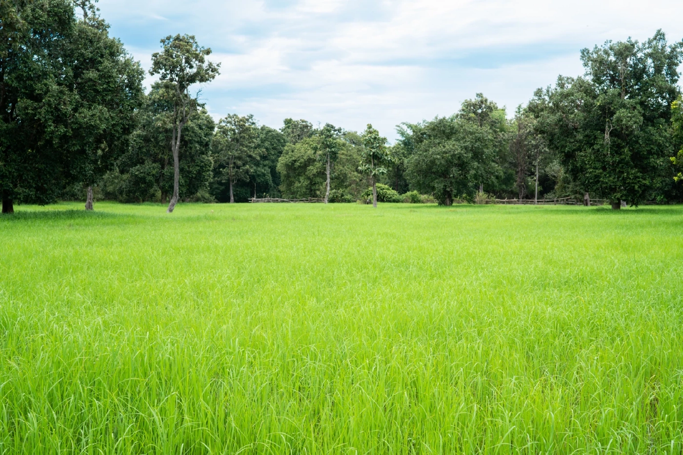 ท่องเที่ยวเชิงวัฒนธรรม ที่ชุมชนผ้าย้อมครามบ้านกุดจิก จ.สกลนคร