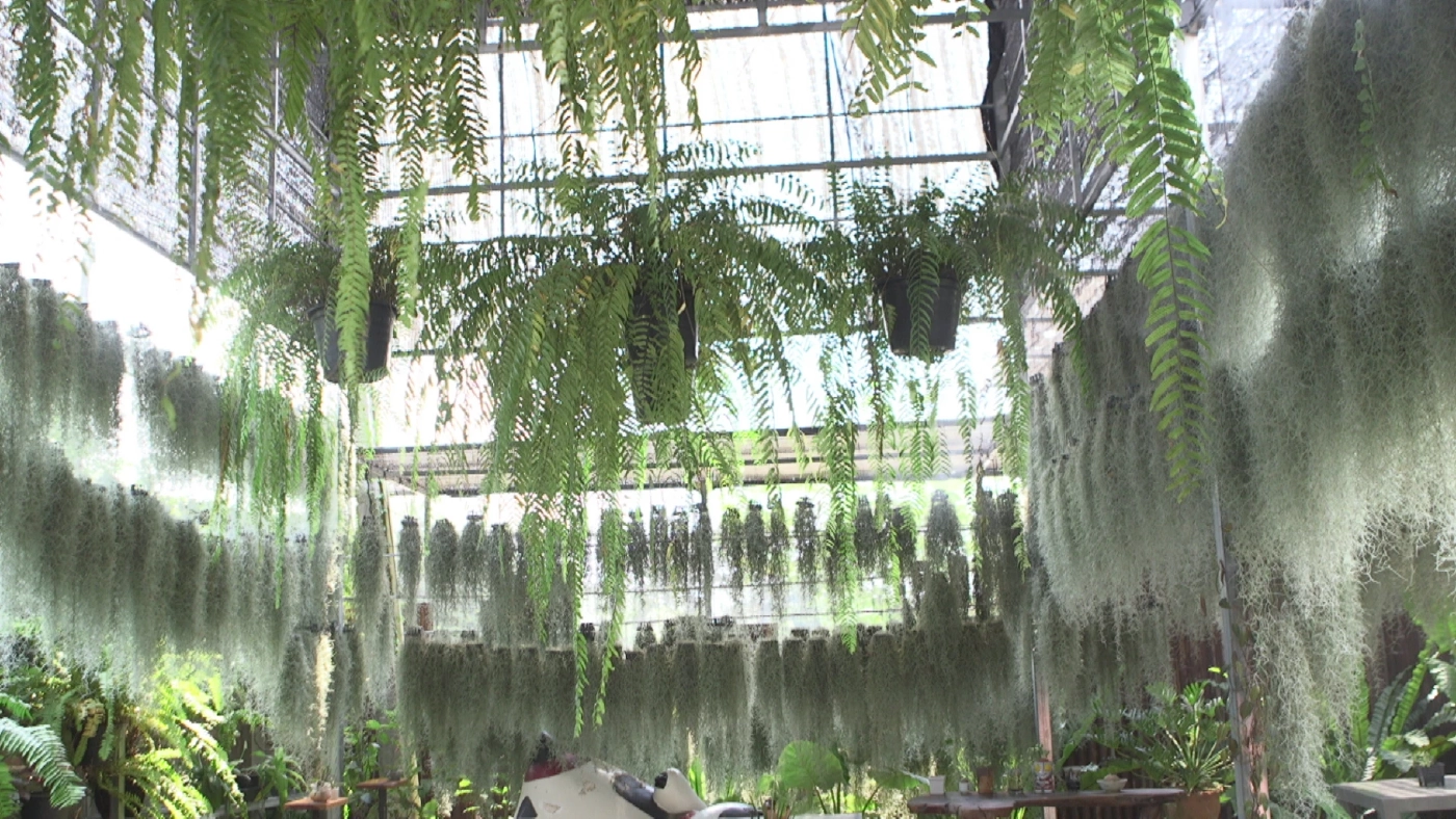 "ชิมฮง คาเฟ่" ร้านดังเมืองพิจิตร กาแฟลอดช่อง เมนูแปลกใหม่ โดนใจคอกาแฟอย่างจัง