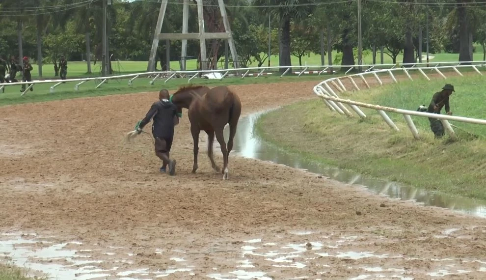 ส.ม้าแข่งโคราช หนุนผลักดันกีฬาแข่งสัตว์พื้นบ้าน เป็นซอฟต์พาวเวอร์