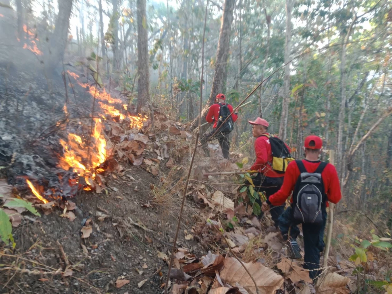 ทส. ชี้ ไม่นิ่งนอนใจ ย้ำมาตรการฝุ่นละอองในพื้นที่ อ.แม่สาย