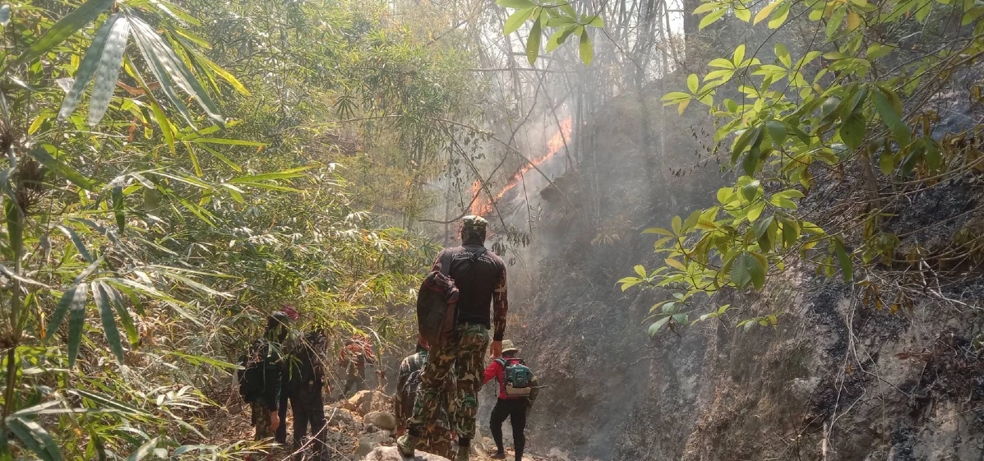 นักวิจัย ชี้ 80 เปอร์เซ็นต์ PM 2.5 มีขนาดเล็กกว่า 0.3 ไมครอน เข้าสู่กระแสเลือดได้