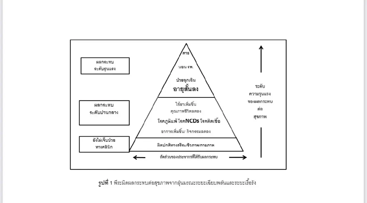 ตัวอย่างผลงานวิจัย ผลกระทบสุขภาพจาก PM2.5
