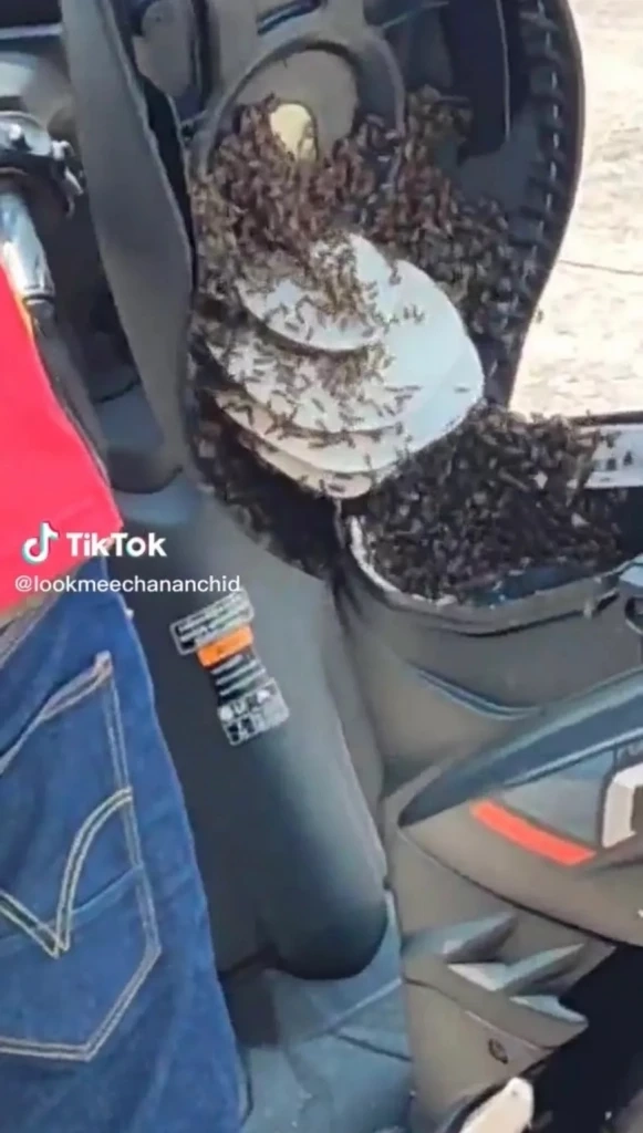 รวมเลขเด็ดเลขดังทุกสำนัก หวยงวด16/3/66 เลขมนต์สิทธิ์ ปฏิทินจีน เจ๊ฟองเบียร์