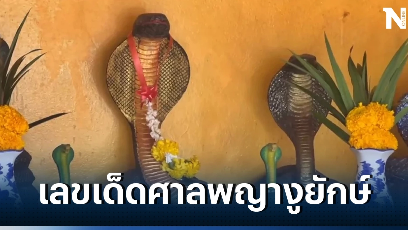 แห่ส่อง 'เลขเด็ด' พิธีไหว้ศาลพญางูยักษ์ คอหวยยิ้มได้ 2 ตัวเน้นๆ งวด1/4/66